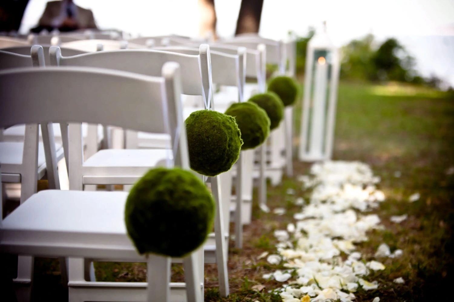 Wedding chairs